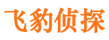 湖滨外遇出轨调查取证